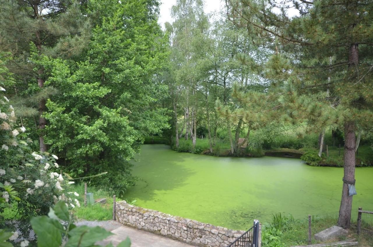 Le Moulin De Charin Bed and Breakfast La Pommeraie-sur-Sèvre Exterior foto